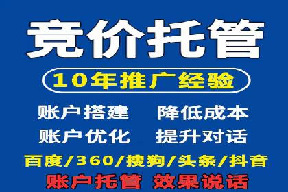 某电商平台的SEM推广实战经验
